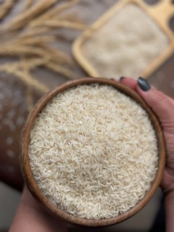 برنج طارم هاشمی لوکس مناطق اطراف فریدونکنار