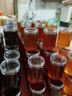 عسل کاسنی