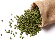 دان سبز قهوه عربیکا کنیا