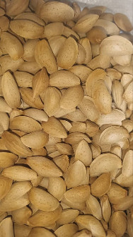 بادام مامایی سنگی