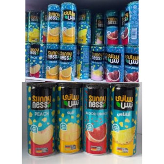 رانی سانی نس