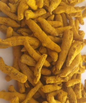 زردچوبه قلم