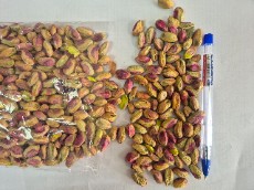 مغز پسته گلدار درجه یک