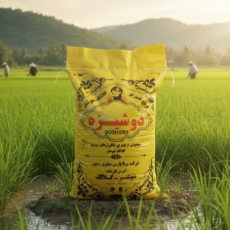 برنج عنبربو دوشیزه