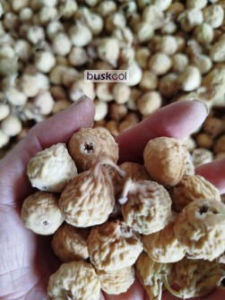 انجیر سوپر و گوشتی درجه یک