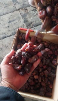 ضایعات خرما مضافتی پس سورت