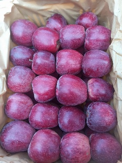 سیب زرد و قرمز