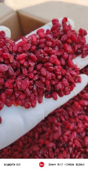 زرشک پفکی لوکس