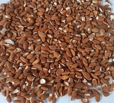 مغز سرزده بادام