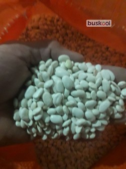 لوبیاسفید