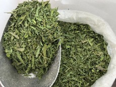 سبزی ترخون خشک