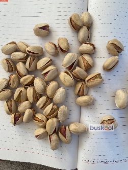 کله قوچی