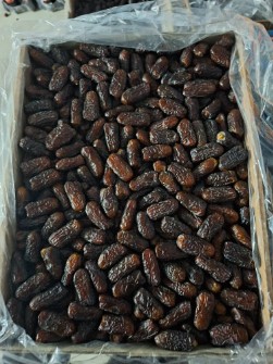 خرمای پیارم درجه یک