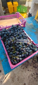 انگور سیاه خارجی رد گلاپ