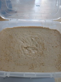 کرم ارده وانیلی