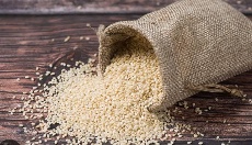 کنجد روغنگیری