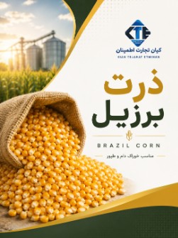 ذرت دامی برزیل