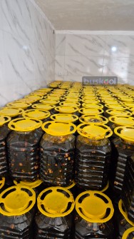 ترشی سیر
