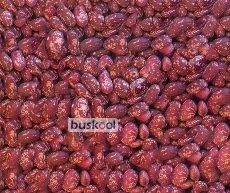 لوبیا قرمز ازبک