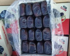 خرما مضافتی صادارت درجه یک