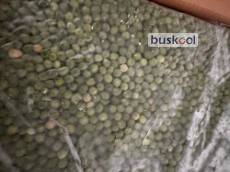 نخود فرنگی منجمد کنسروی