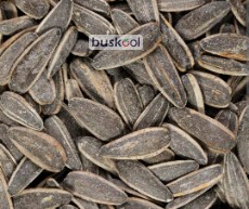 تخمه آفتابگردان اس400