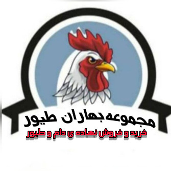 فسفات
