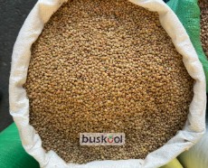 عدس ریز روس
