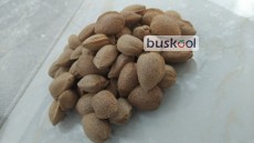 بادام سنگی