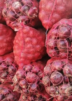 پیاز درجه یک فلات