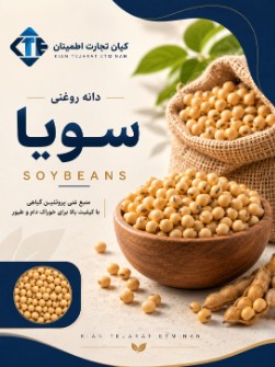دانه روغنی سویا برزیل