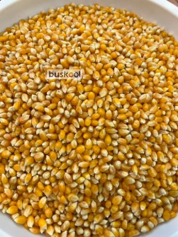 ذرت پاپسان برزیلی
