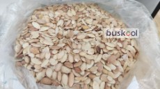دانه آرگان