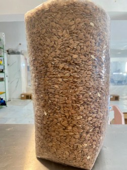 مغز هسته زردآلو