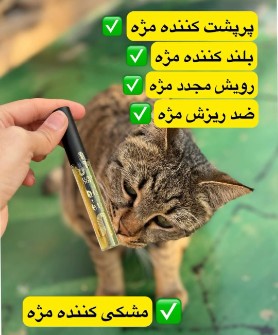 محول بیومیمتیک مژه،،،کاشت مژه،،،رویش مجدد مژه