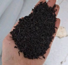 چای سرگل ممتاز بهاره کوهپایه ای لاهیجان