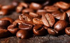 دان قهوه ربستا ویتنام مدیوم