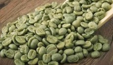 دانه قهوه سبز عربیکا و ربوستا