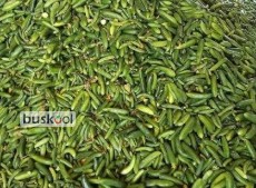 خیار مخصوص خیارشوری دو ان سیمینس