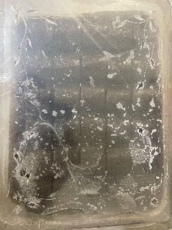 لواشک قالبی