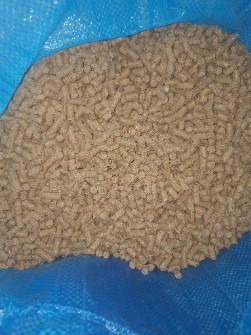 کنسانتره شیری  و پرواری گوساله و پرواری آجیلی