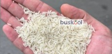 برنج فجر سوزنی درجه یک