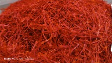 زعفران نگین سوپر قلم درشت