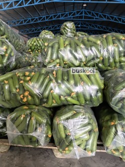 خیار اصلاحی