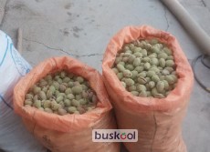 بادام منقا