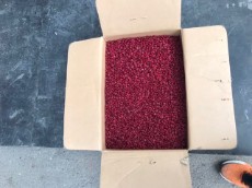 زرشک زیر تالاری