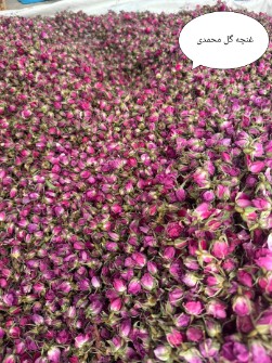 غنچه گل محمدی،پرگل محمدی،گل بازدارویی