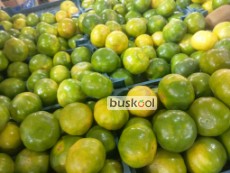 نارنگی تخم ژاپنی درجه یک