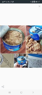 تن ماهی خوش نگار 180