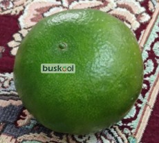 نارنگی درجه یک